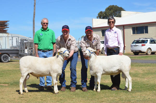 Malcom and Kerrie Plum, Kalnari Austalian Whites, Tarcutta, with Lachlan and Brayden Gilmore, Baringa Australian Whites, Oberon (centre), and the two rams the Plums purchased at the sale.