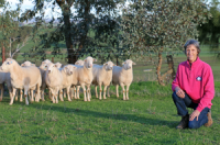 Kerrie Plum with purebred Australian White rams, aged 12 months, at Kalnari. (Photo by HMFD)