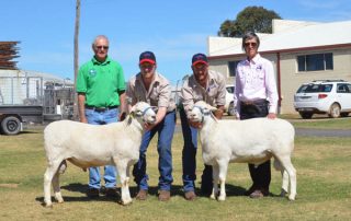 Malcom and Kerrie Plum, Kalnari Austalian Whites, Tarcutta, with Lachlan and Brayden Gilmore, Baringa Australian Whites, Oberon (centre), and the two rams the Plums purchased at the sale.