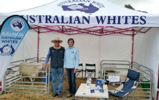 kalnari australian whites